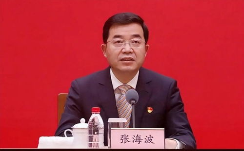 山东省委常委秘书长张海波，已任职山东省政府