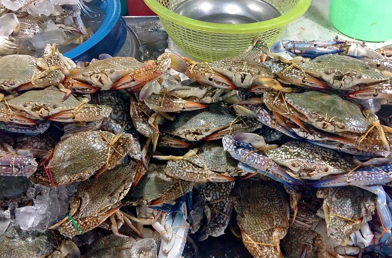 五彩缤纷的家常凉菜，轻松制作，夏日消暑美食指南
