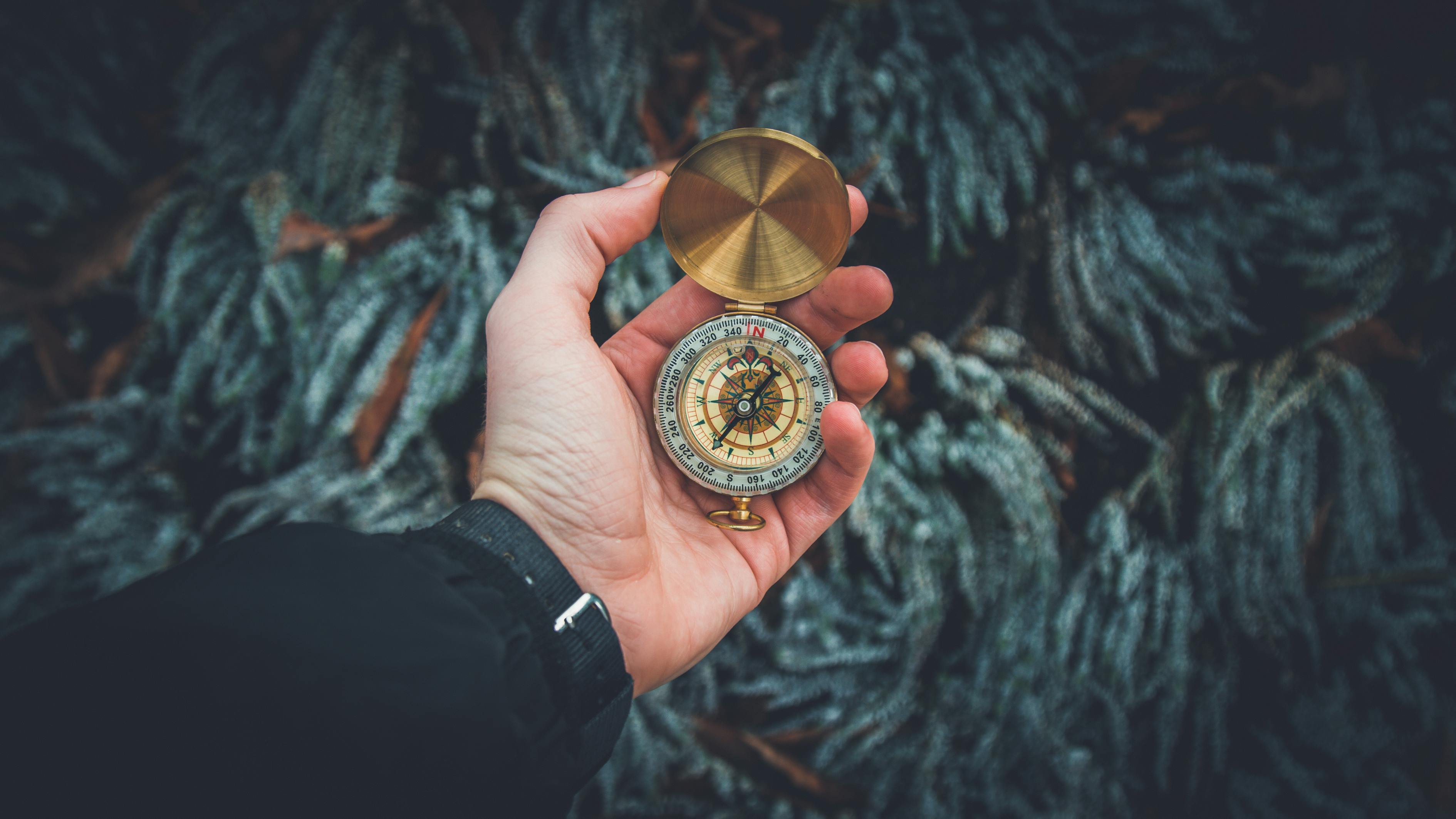 揭秘神奇宝贝世界，一部跨越时代的游戏大全——深度解析与探索
