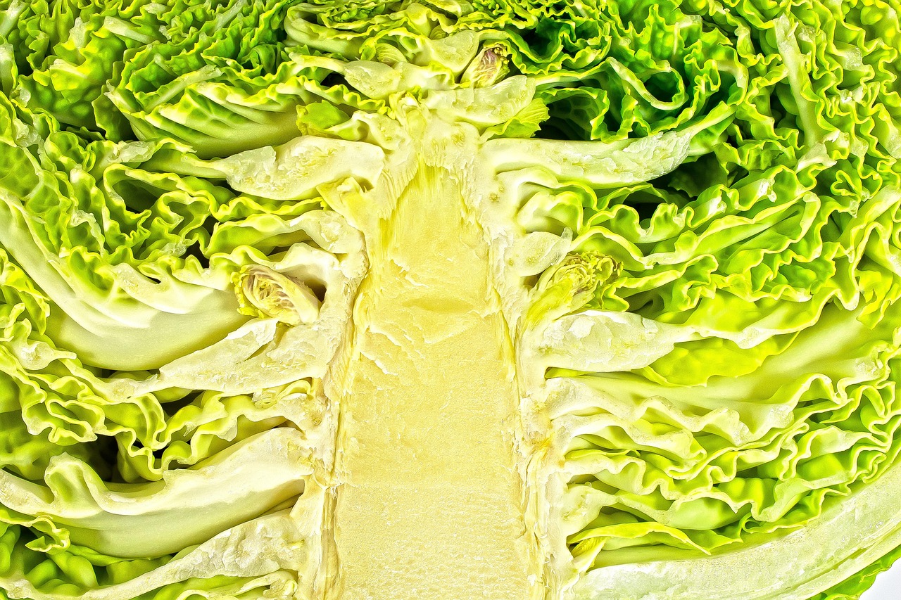 清肺化痰，食疗养生的秘密武器