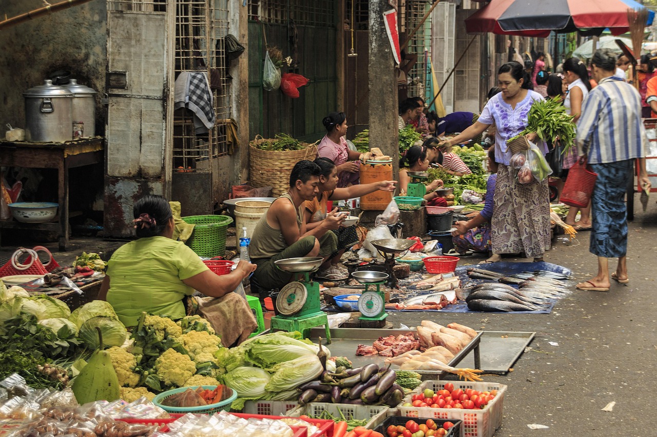 味蕾上的文化之旅，美食与人文的交融