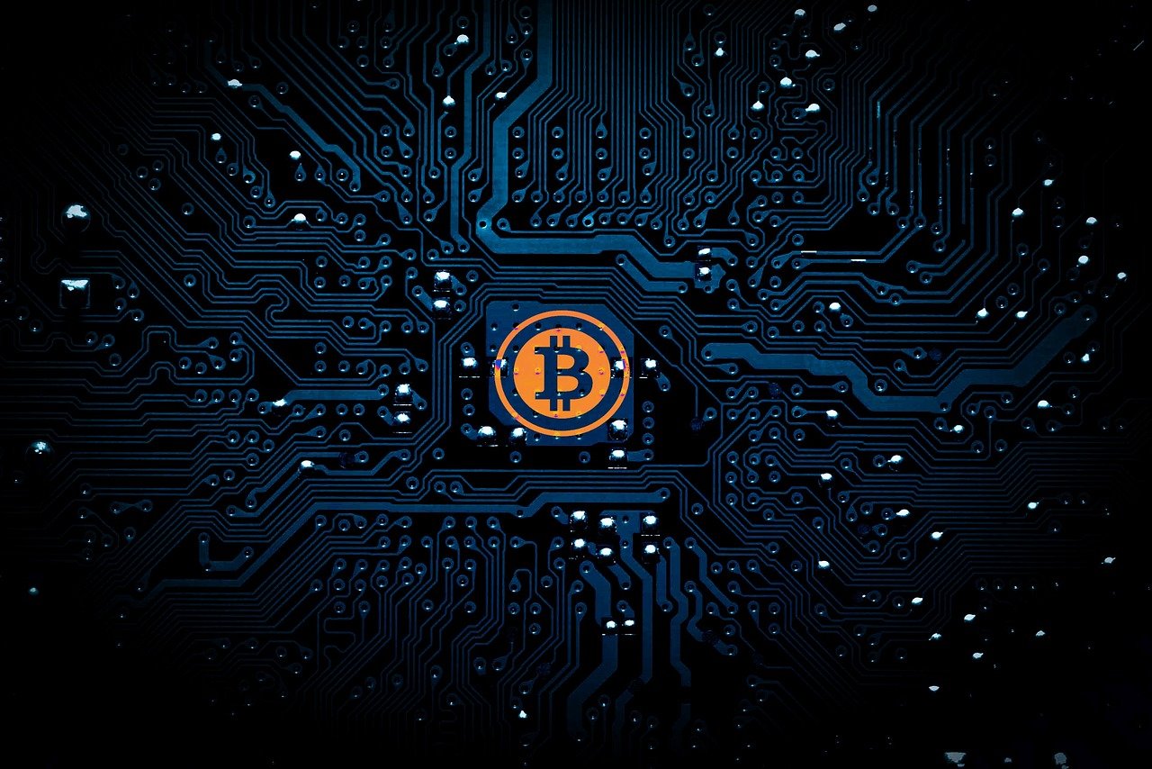 赵露思的星光之路，揭秘知乎八卦背后的真相