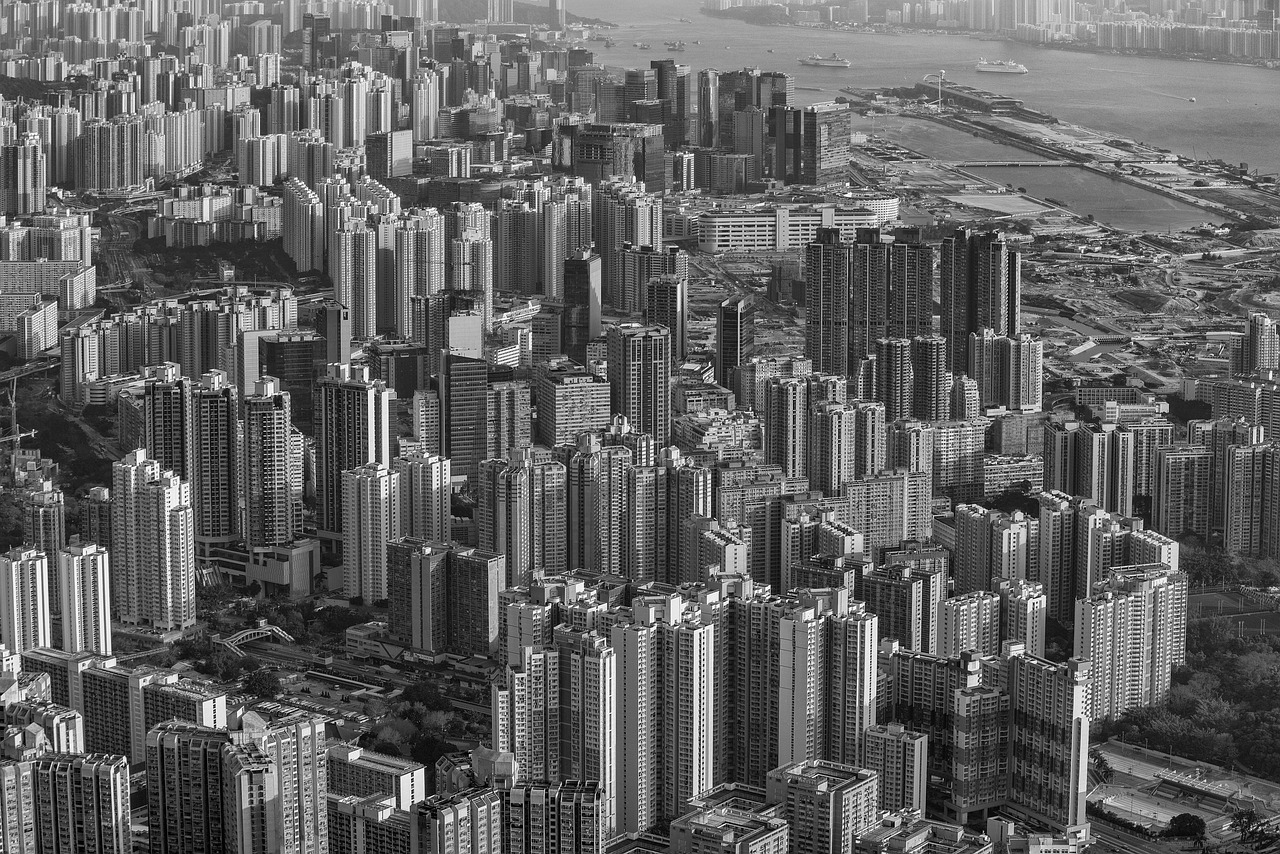 都市快报，今日直播揭秘，城市脉搏的跳动